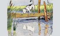 Aesop’s Fables: The Dog & His Reflection