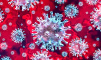 All the Coronavirus in the World Could Fit Inside a Coke Can