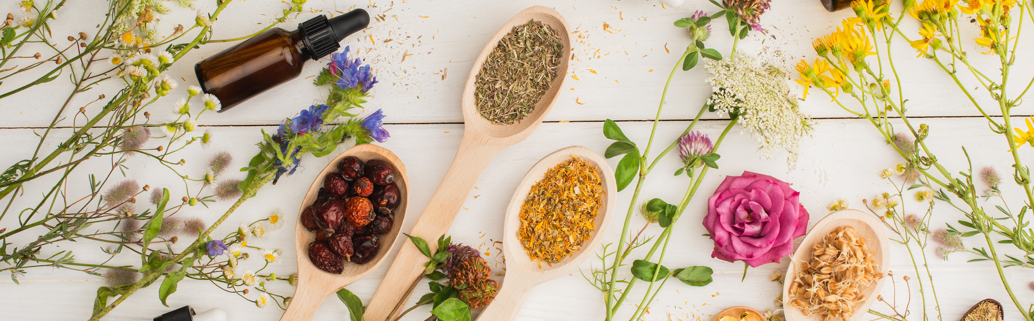 How to Craft a Natural Home Medicine Kit - Vimarsana News