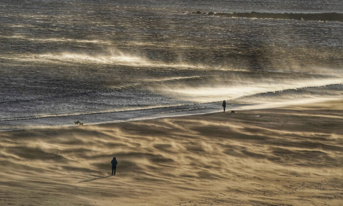 Dog walkers on a windy Tynemouth beach on the North East coast of England on Jan. 29, 2022. (Owen Humphreys/PA Media)