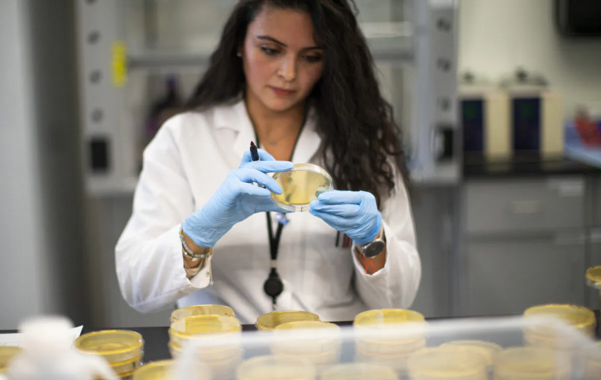 A researcher examines plated samples in a lab that is developing testing for the COVID-19 coronavirus at Hackensack Meridian Health Center for Discovery and Innovation on Feb. 28, 2020 in Nutley, (Kena Betancur/Getty Images)