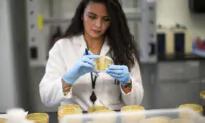 ‘Slowing Rates of Disruption,’ Decline in Scientific Breakthroughs, Researchers Stumped
