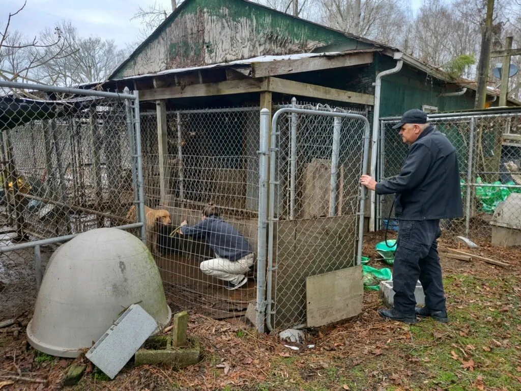 This photo shows Currituck Animal Services rescued 61 dogs (47 adults and 14 puppies) from unsanitary and inhumane living conditions in Moyock, northeastern North Carolina, taken on Jan. 30, 2022. (Currituck County Government/TNS)