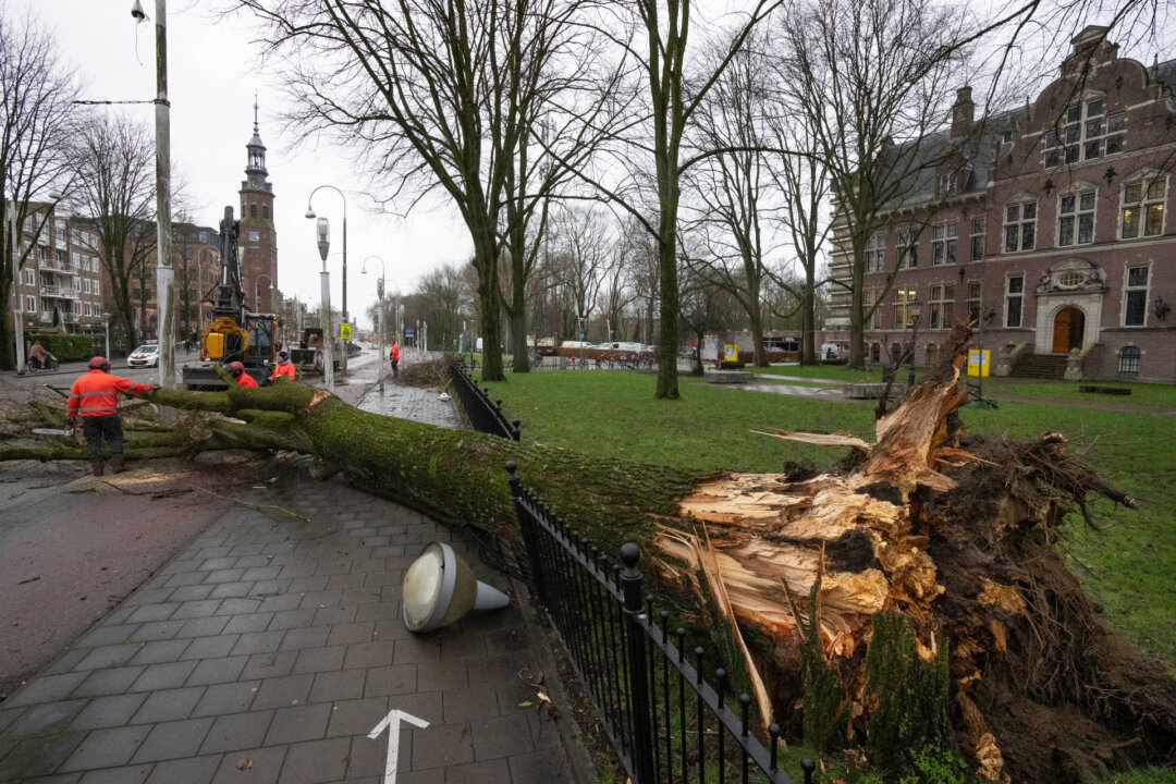Europe Storms: Ships Collide Off Dutch Coast; Crew Evacuated
