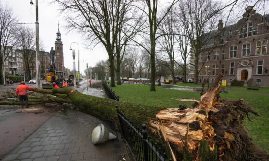 Europe Storms: Ships Collide Off Dutch Coast; Crew Evacuated