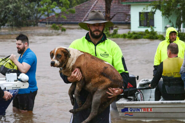 Emergency Disaster Training for Civilians Worth Considering: Australian Labor Leader