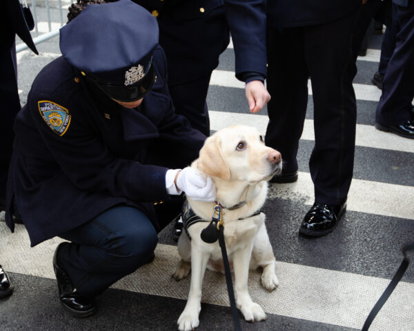Epoch Times Photo