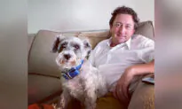 Stolen Dog Found on Busy Highway 5 Years Later, 22 Miles Away From Home, Reunites With Owner