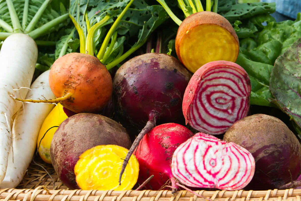 Load up your meals up with seasonal winter foods. (Dreamstime/TNS)