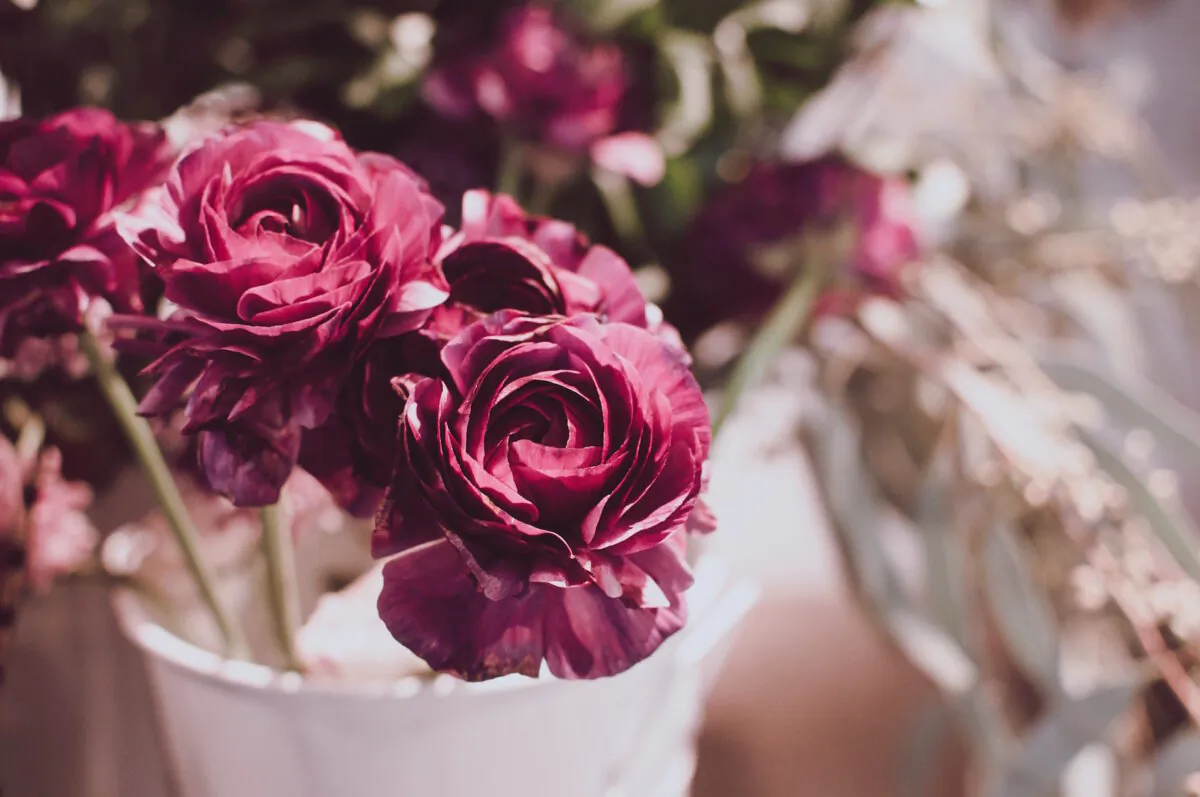 (Ben Coles/Unsplash)