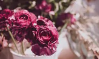 What’s Love Got to Do With It?