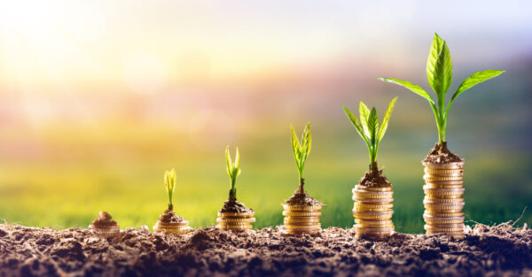Growth,Money,-,Plant,On,Coins,-,Finance,And,Investment
