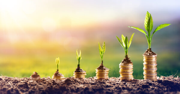 Growing,Money,-,Plant,On,Coins,-,Finance,And,Investment