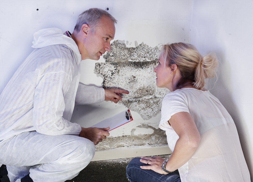 A contractor examines a mold destroyed wall and explains how to take care of it. (PPC Photography Cologne/Shutterstock)