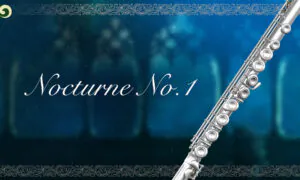 Beautiful and Peaceful Nocturne to Accompany the Night | Musical Moments