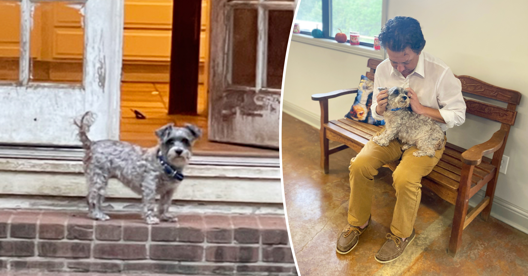 Stolen Dog Found on Busy Highway 5 Years Later, 22 Miles Away From Home, Reunites With Owner - Vimarsana News