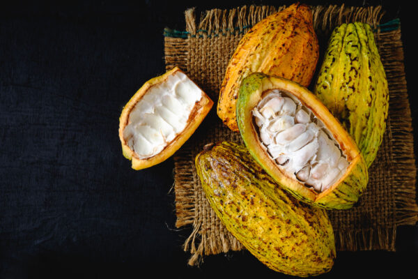 Raw,Cacao,And,Cocoa,Pods,On,Black,Background.