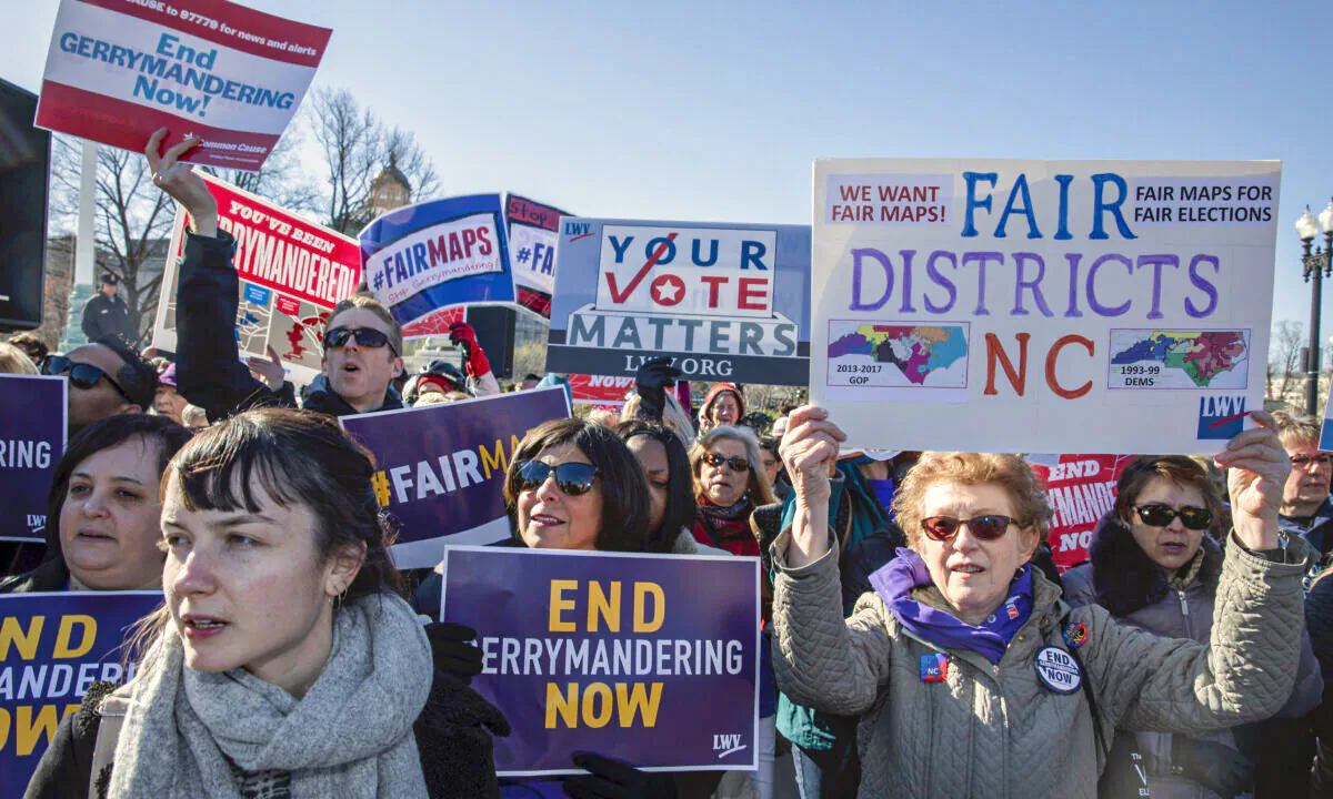 Protesters attends a rally for "Fair Maps" in Washington on March 26, 2019. (Tasos Katopodis/Getty Images)
