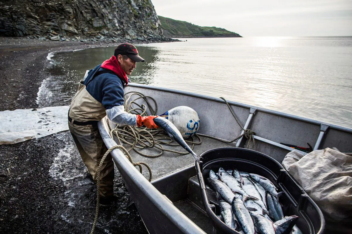 Joseph John Jr. washes freshly caught salmon with his son while waiting for the tide to come in on July 1, 2015, in Newtok, Alaska. (Andrew Burton/Getty Images)