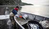Ocean Geoengineering ‘Not Rocket Science’: Russ George