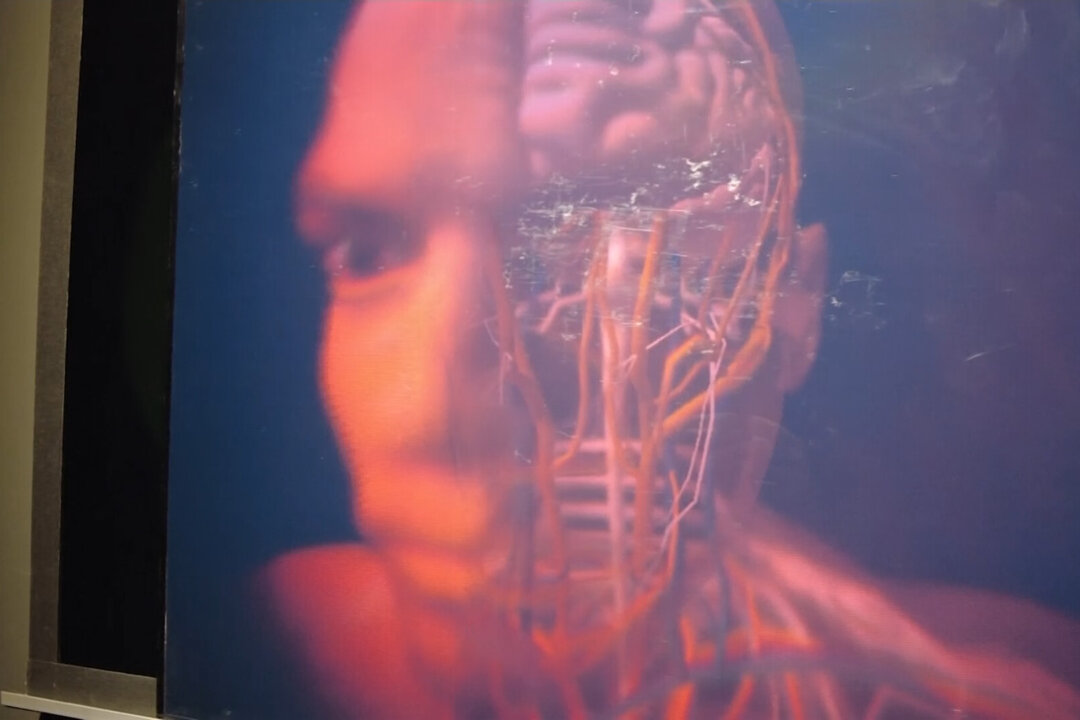 Revival of Hologram Technology for Medicine and Security