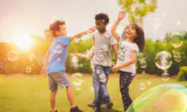 How Playfulness Develops and Spurs a Drive to Learn
