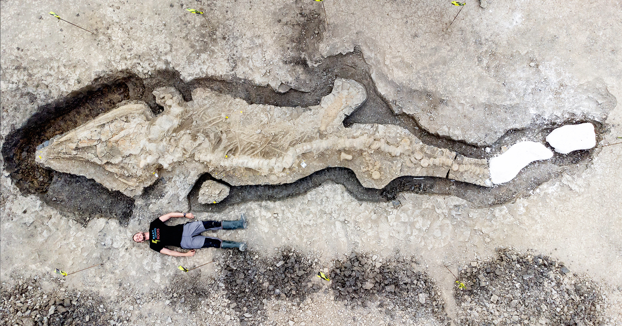 Conservationist Stumbles on 180-Million-Year-Old Ocean Reptile 'Ichthyosaur' on Bottom of Lagoon in Rutland, UK - Vimarsana News