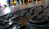 4 ‘Cryptic’ Sars-Cov-2 Variants Lurk in NYC Sewers