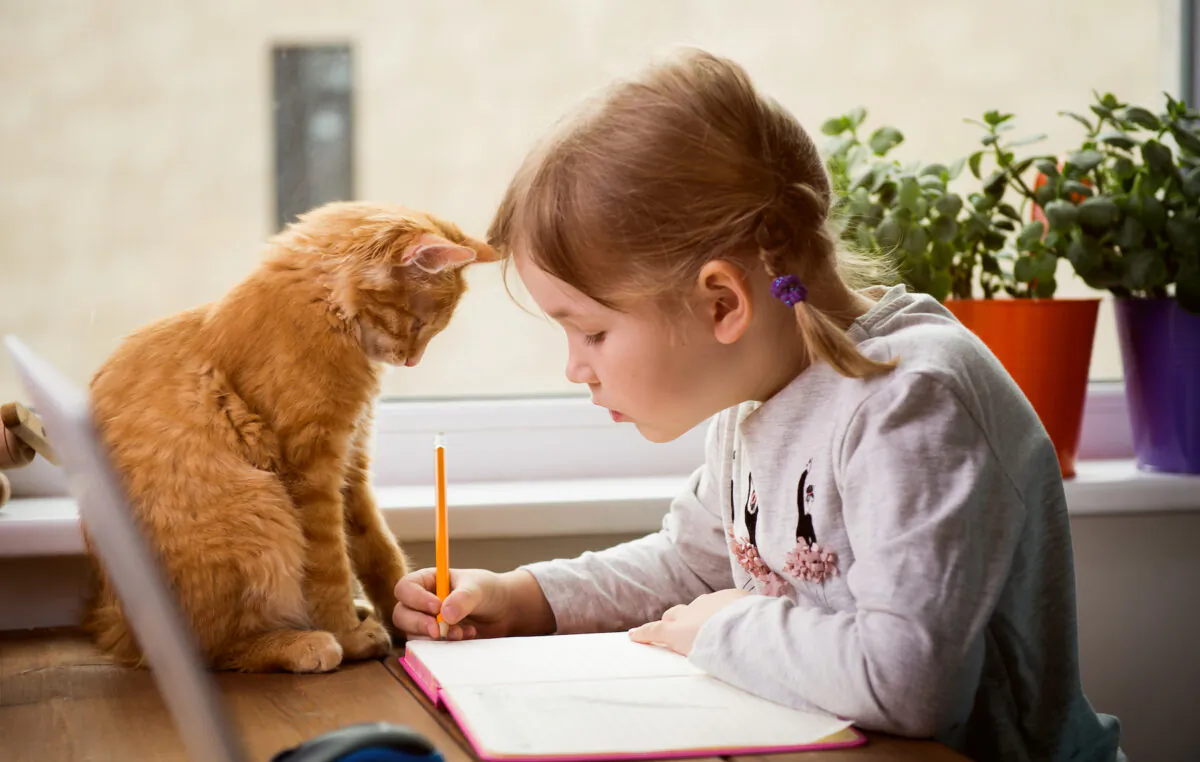 Looking for a homeschool mascot? If you have a beloved pet who loves to curl up with the kids as they work, look no further. (Sharomka/Shutterstock)