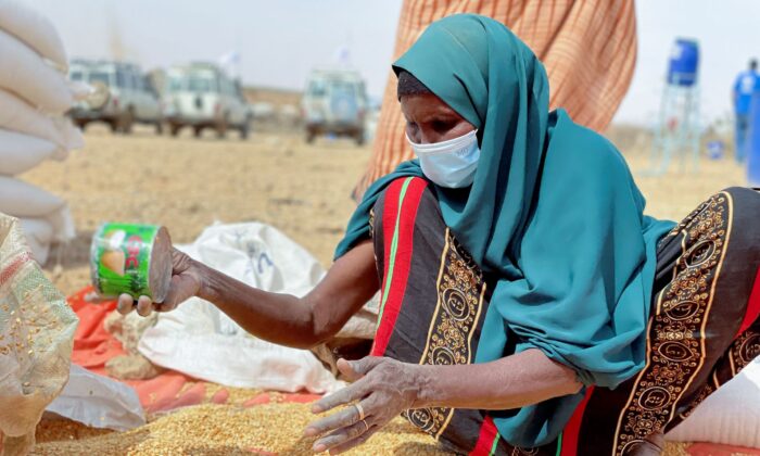 An Ethiopian woman sifts through distributed food supplies during a visit by World Food Programme (WFP) Regional Director Michael Dunford to a camp for the internally-displaced in Adadle, in the Somali Region of Ethiopia, on Jan. 22, 2022. (Claire Nevill/WFP via AP)