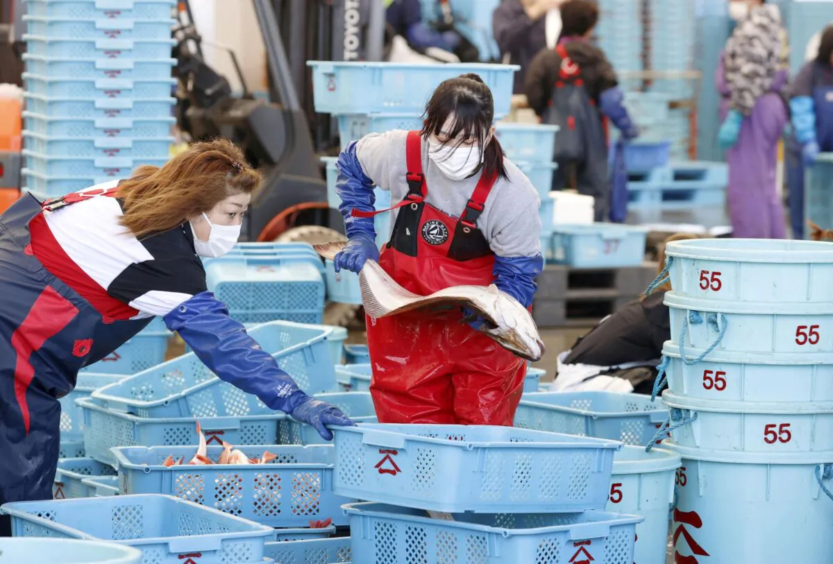 Workers sort fishes after a fishing operation at Matsukawaura fishing port in Soma, Fukushima prefecture, Japan, on April 12, 2021. (Kyodo/via Reuters)