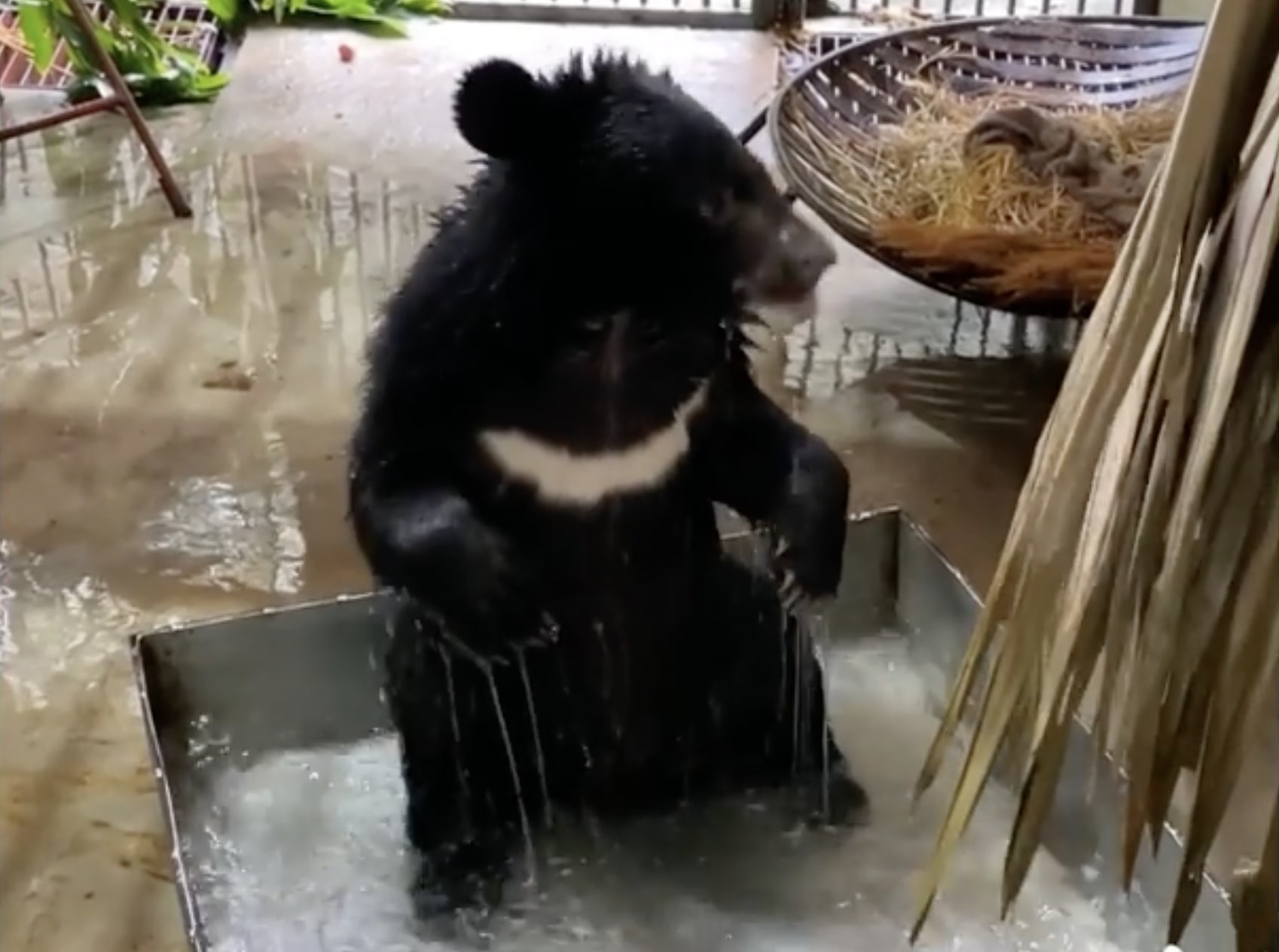 Epoch Times Photo