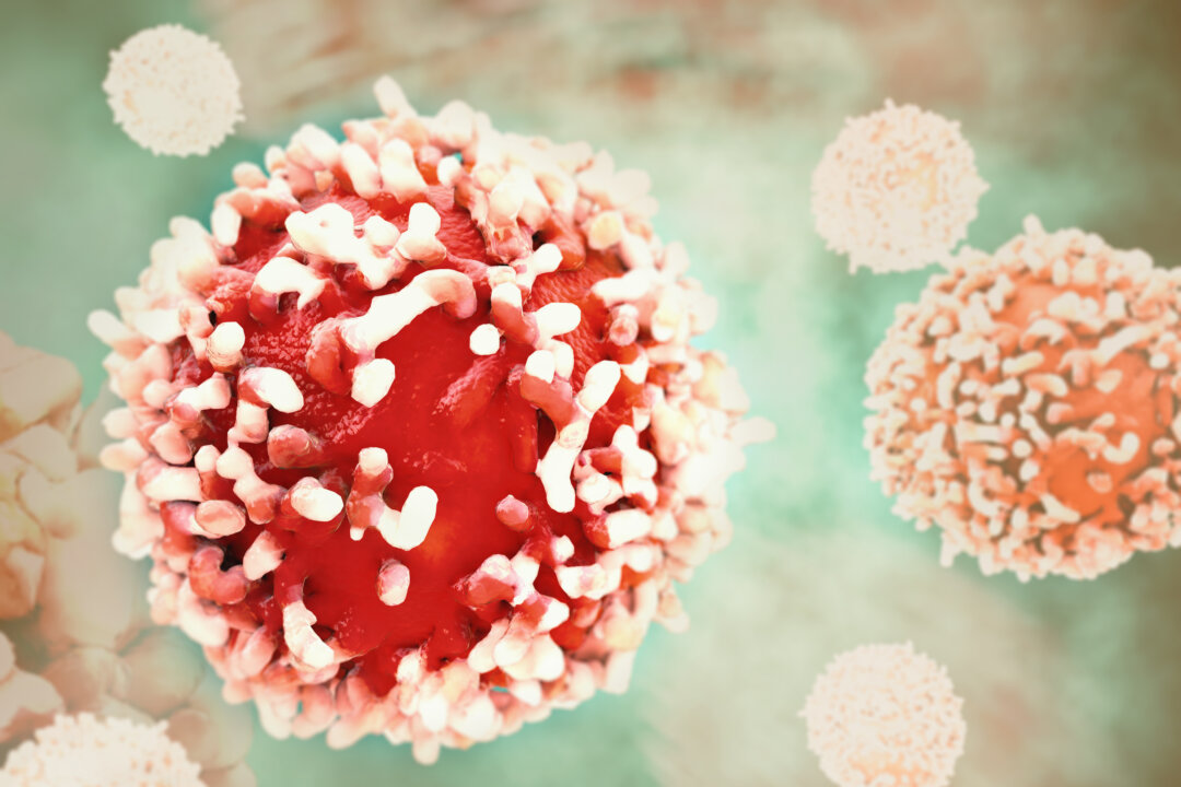 A cancer cell in the human body in a stock photo. (Shutterstock)