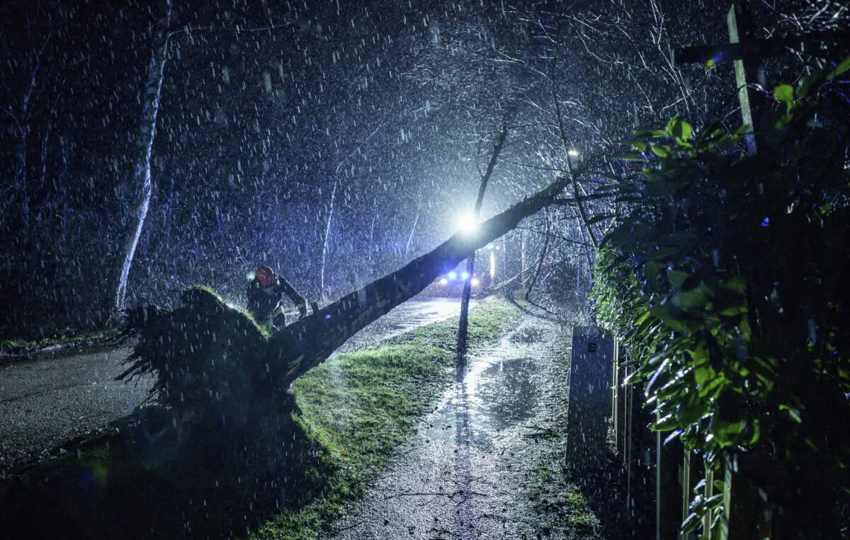 Emergency personnel from the Kiel-Russee Volunteer Fire Department, pull a tree that has been blown down by gusts of wind to the ground with a rope in Kiel, Germany, on Feb. 18, 2022. (Axel Heimken/dpa via AP)