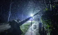 Western Europe Cleans up After Storm Leaves at Least 12 Dead