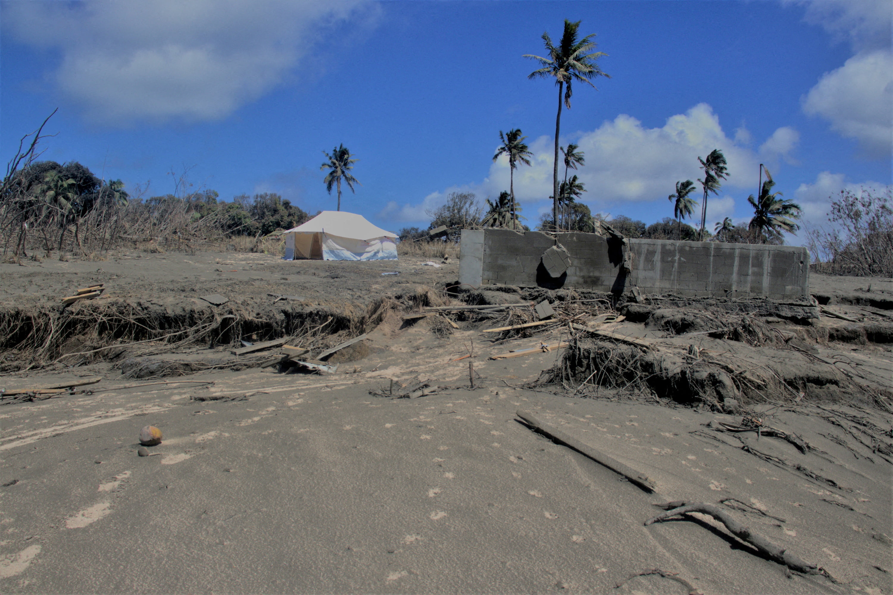 Musk's Starlink Connects Remote Tonga Villages Still Cut Off After Tsunami - Vimarsana News