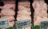 Canada Faces Some Trade Restrictions on Poultry Due to Bird Flu Found in Nova Scotia