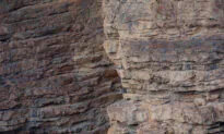 Can You Spot the Perfectly Camouflaged Snow Leopard in This Himalayan Mountain Landscape Photo?