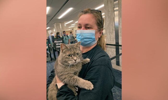 "Ashes" the cat, who had been lost by a Maine family since 2015, is held by Janet Williams at Tampa International Airport, in Tampa, Fla., on Feb. 9, 2022. (Janet Williams via AP)