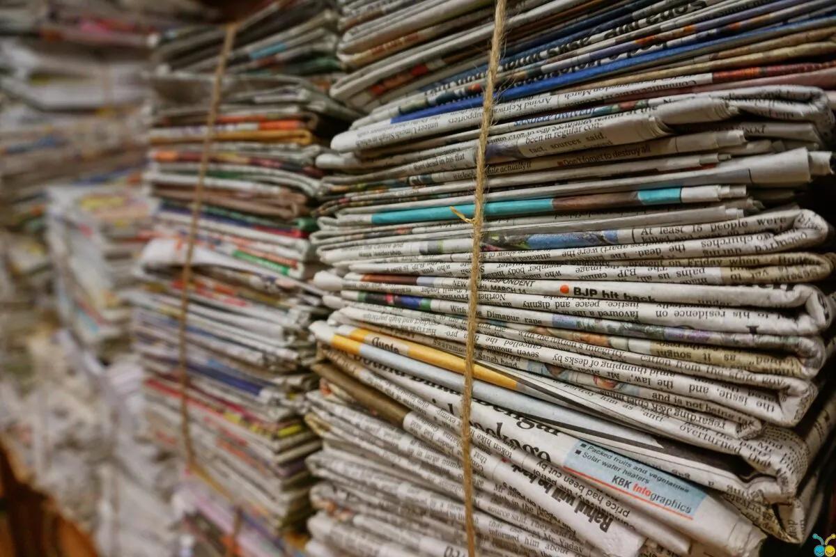 Bundles of newspaper
(Pexels/pixabay)