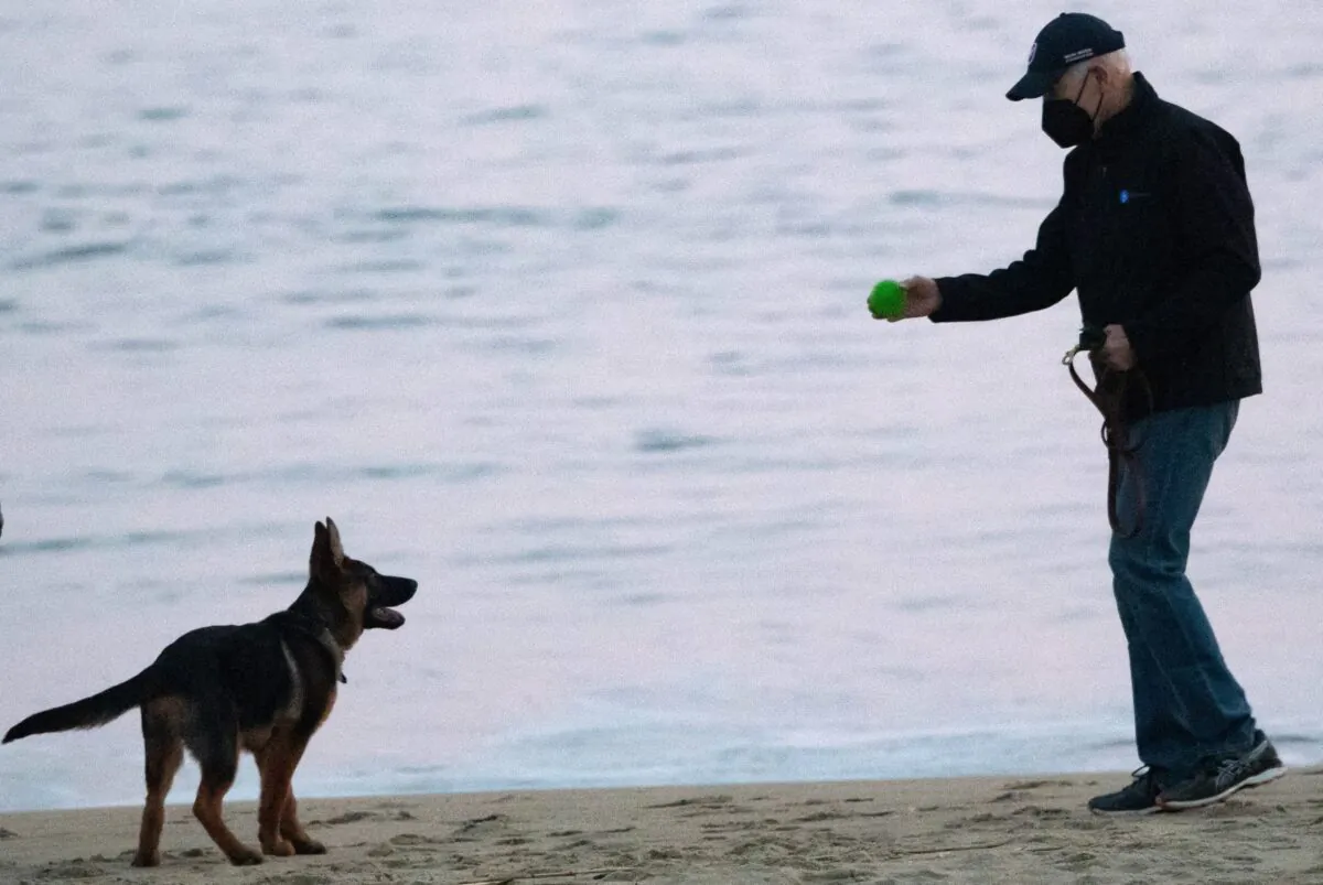 US President Joe Biden plays with his new dog Commander at Rehoboth Beach, Delaware, on Dec, 28, 2021. (Saul Loeb/AFP via Getty Images)