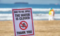 Oil Toxicity: Examining the Evidence