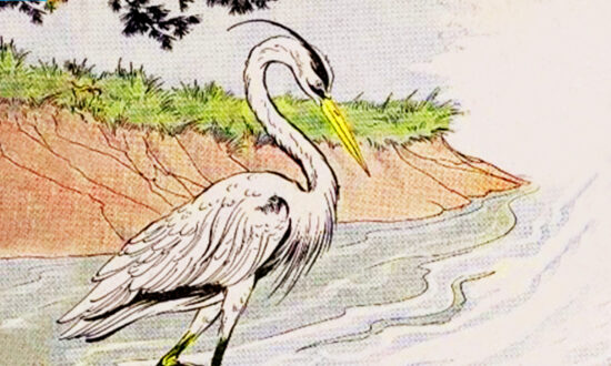 Aesop’s Fables: The Heron