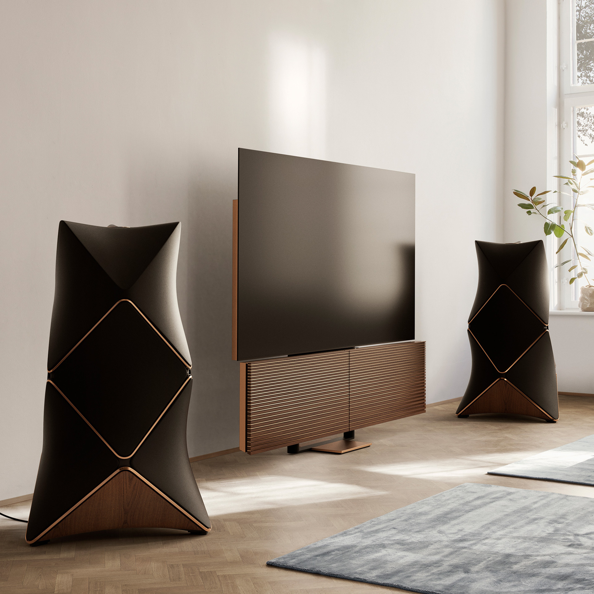 B&O BeoVision with External Speakers
