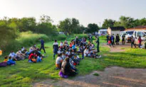 Three MS-13 Criminals Arrested by Border Patrol in Single Day, Including a Child Sex Offender