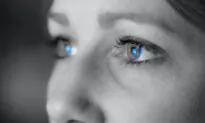 New Brain Research Shows We Don’t See in the Present