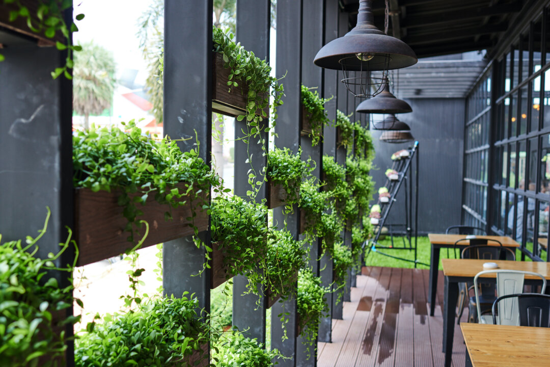 People love to be surrounded by plants, so it shouldn't surprise us that green buildings make us happier and healthier.(ESstock/Shutterstock)