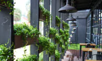 Green Buildings, Healthier People