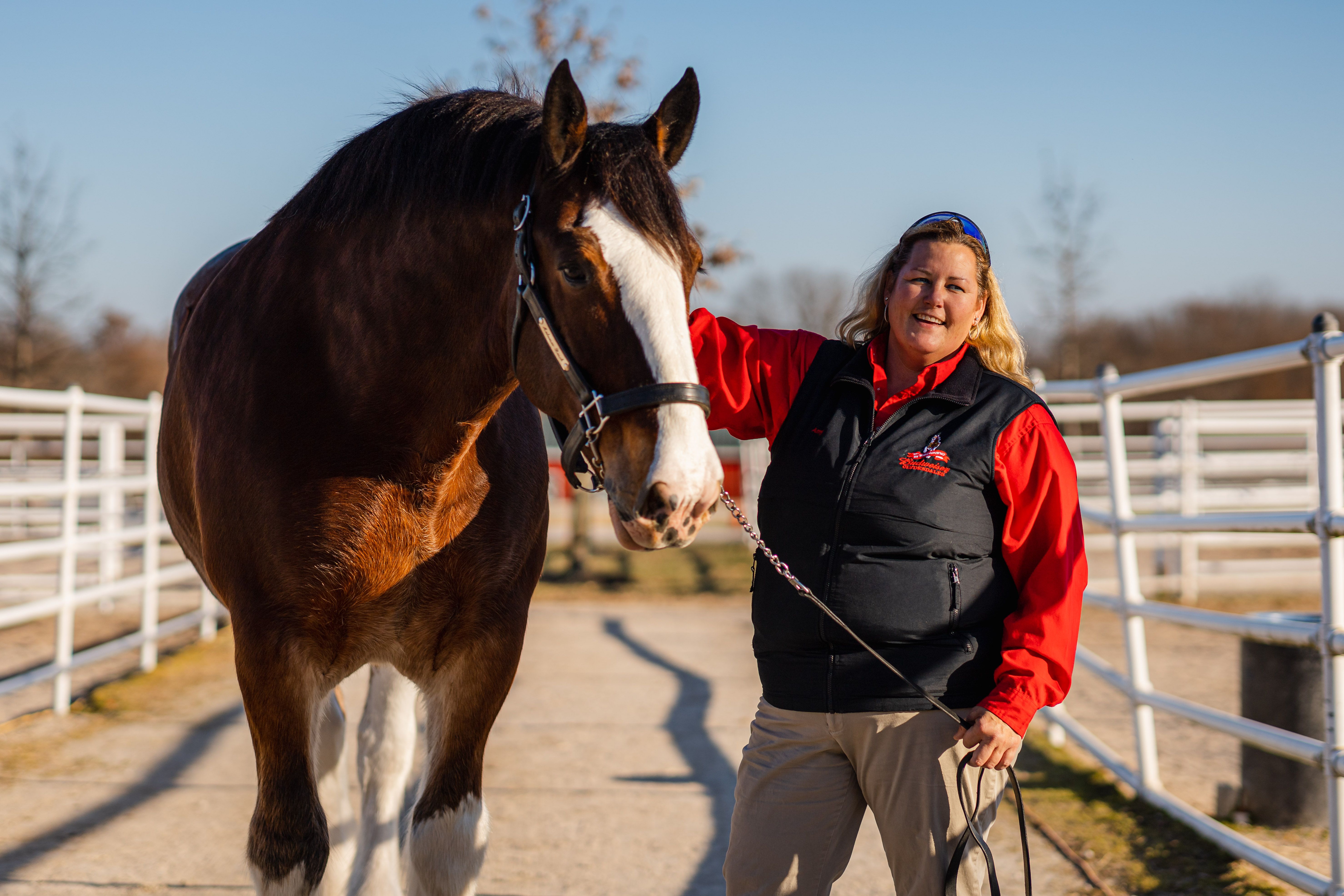 Cardinals tradition: Clydesdales, Musial - ESPN - SweetSpot- ESPN