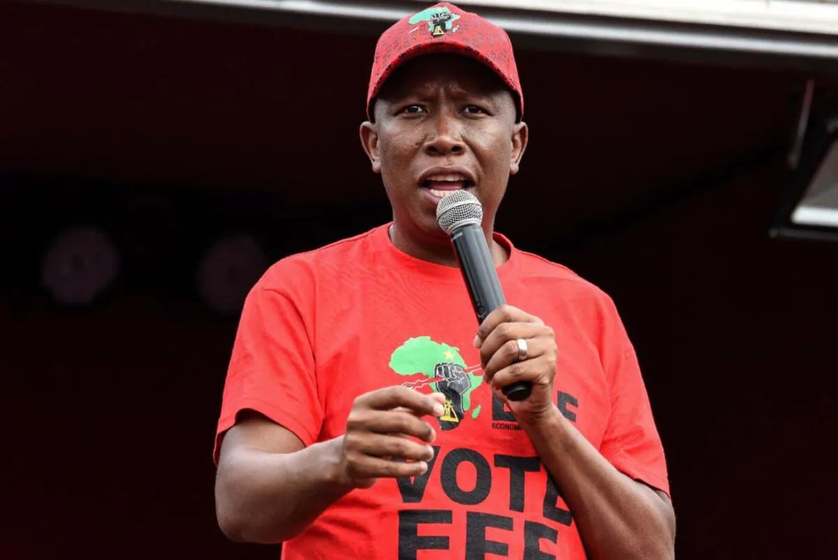 EFF leader Julius Malema denies that a song is inciting violence against South Africa's white farming community. (EFF)